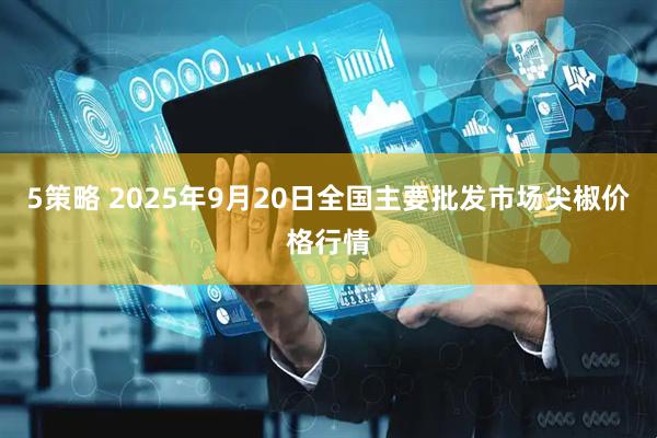 5策略 2025年9月20日全国主要批发市场尖椒价格行情