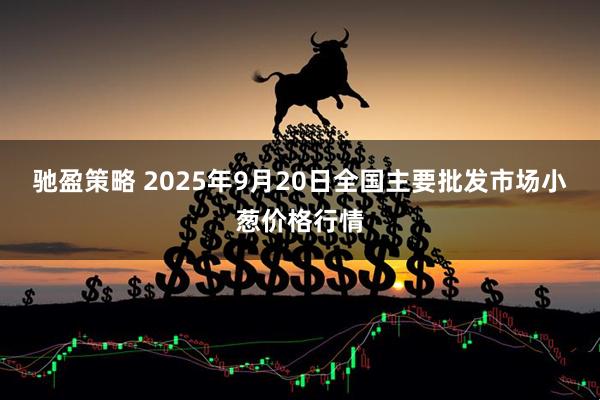 驰盈策略 2025年9月20日全国主要批发市场小葱价格行情