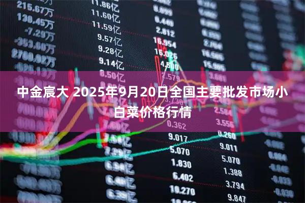 中金宸大 2025年9月20日全国主要批发市场小白菜价格行情