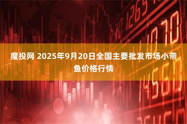 魔投网 2025年9月20日全国主要批发市场小带鱼价格行情