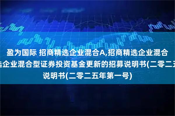 盈为国际 招商精选企业混合A,招商精选企业混合C: 招商精选企业混合型证券投资基金更新的招募说明书(二零二五年第一号)